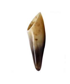 Curved Horn Shape Gua Sha Rod