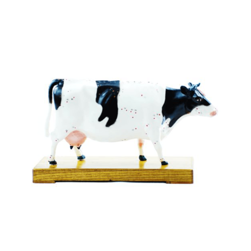 Soft Vinyl Cow Model