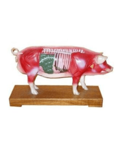 Soft Vinyl Pig Model