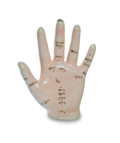 b5b4f6d9-d132-473c-a844-6246e2be60f4.png