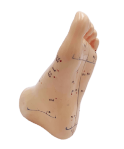 Acupressure in the foot