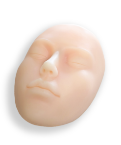 Realistic Facial Model - Silicone, life-size